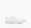 CONVERSE CHUCKTAYLORALLSTARCANVASMONOLOWTOP in WHITE