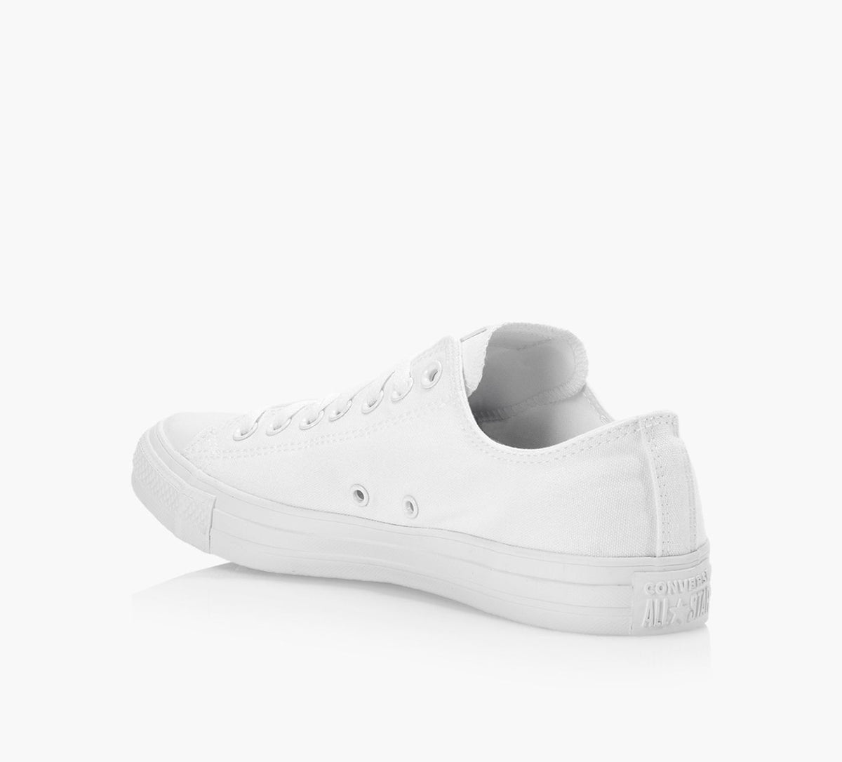 CONVERSE CHUCKTAYLORALLSTARCANVASMONOLOWTOP in WHITE view 3