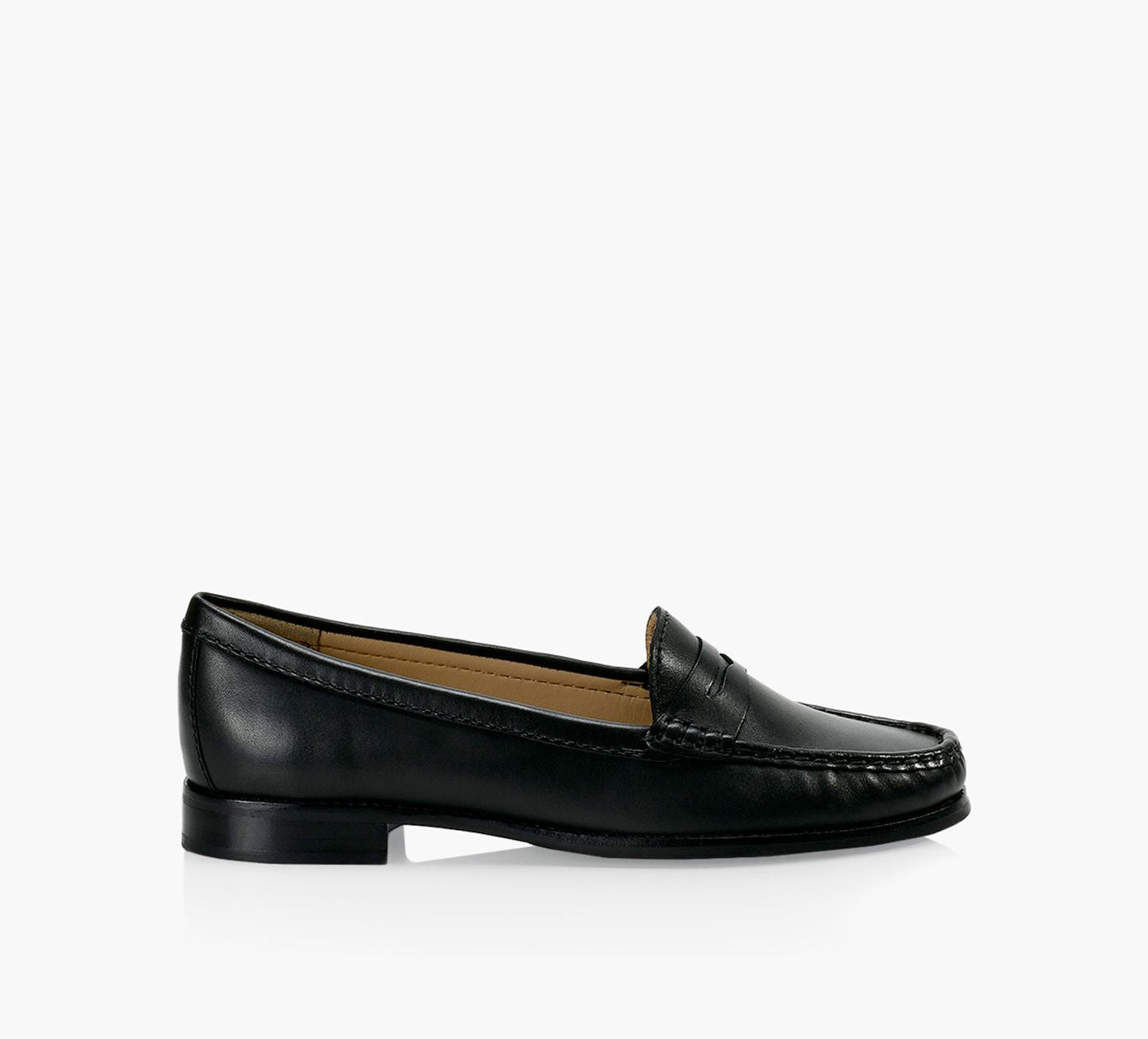 BROWNS FINCH en NOIR