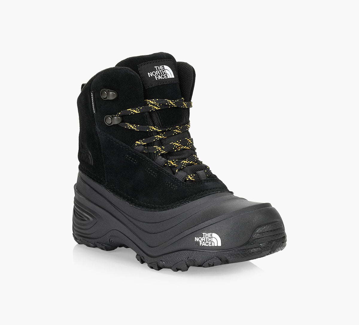 THE NORTH FACE CHILKATVLACEWATERPROOF in BLACK view 2