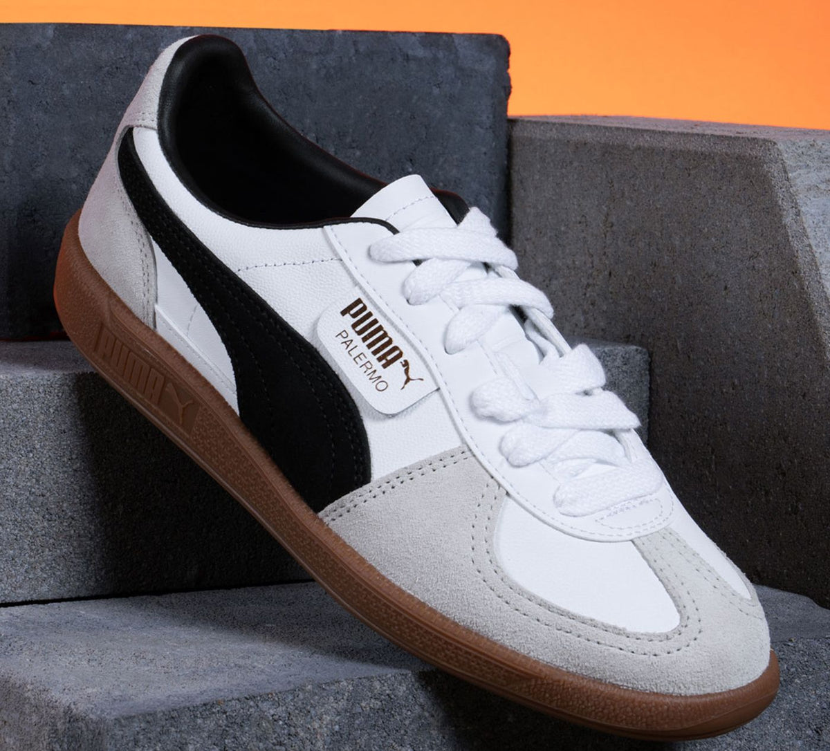 PUMA BASKETSENCUIRPALERMO en BLANC vue 7