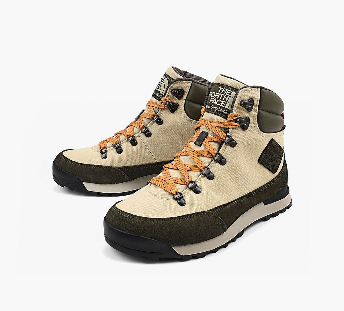 THE NORTH FACE BACKTOBERKELEYIV in BEIGE view 4