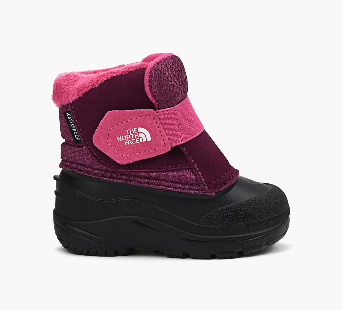 THE NORTH FACE ALPENGLOWIIBOOTS in PURPLE