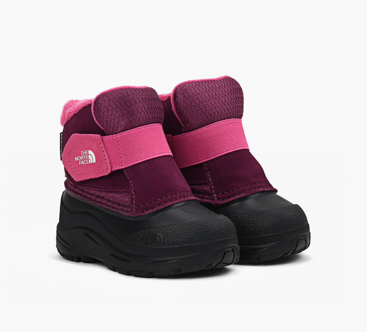THE NORTH FACE ALPENGLOWIIBOOTS in PURPLE view 2
