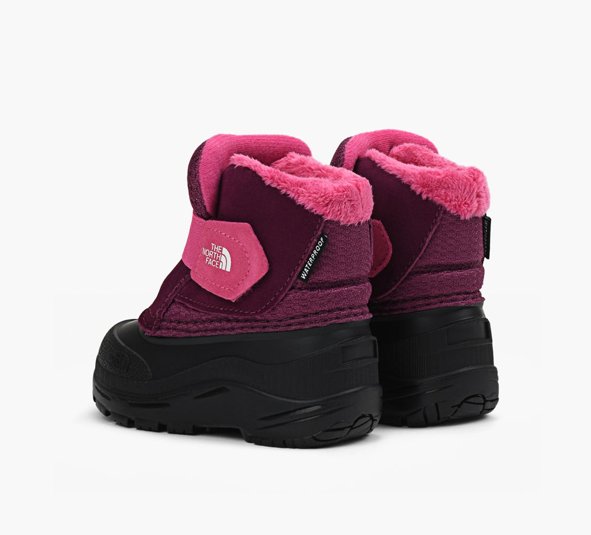 THE NORTH FACE ALPENGLOWIIBOOTS in PURPLE view 3