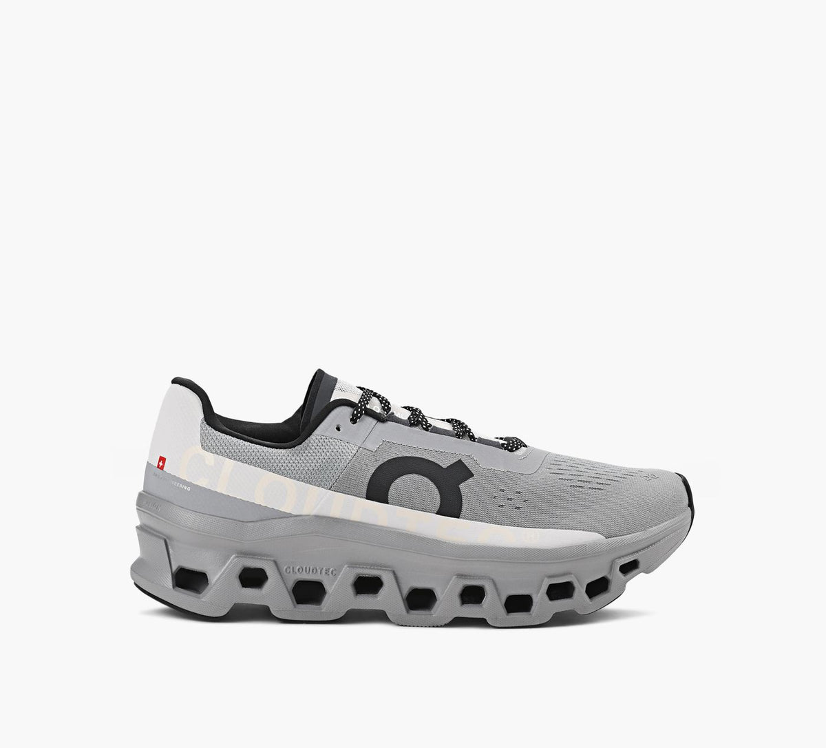 ON CLOUDMONSTER in GREY