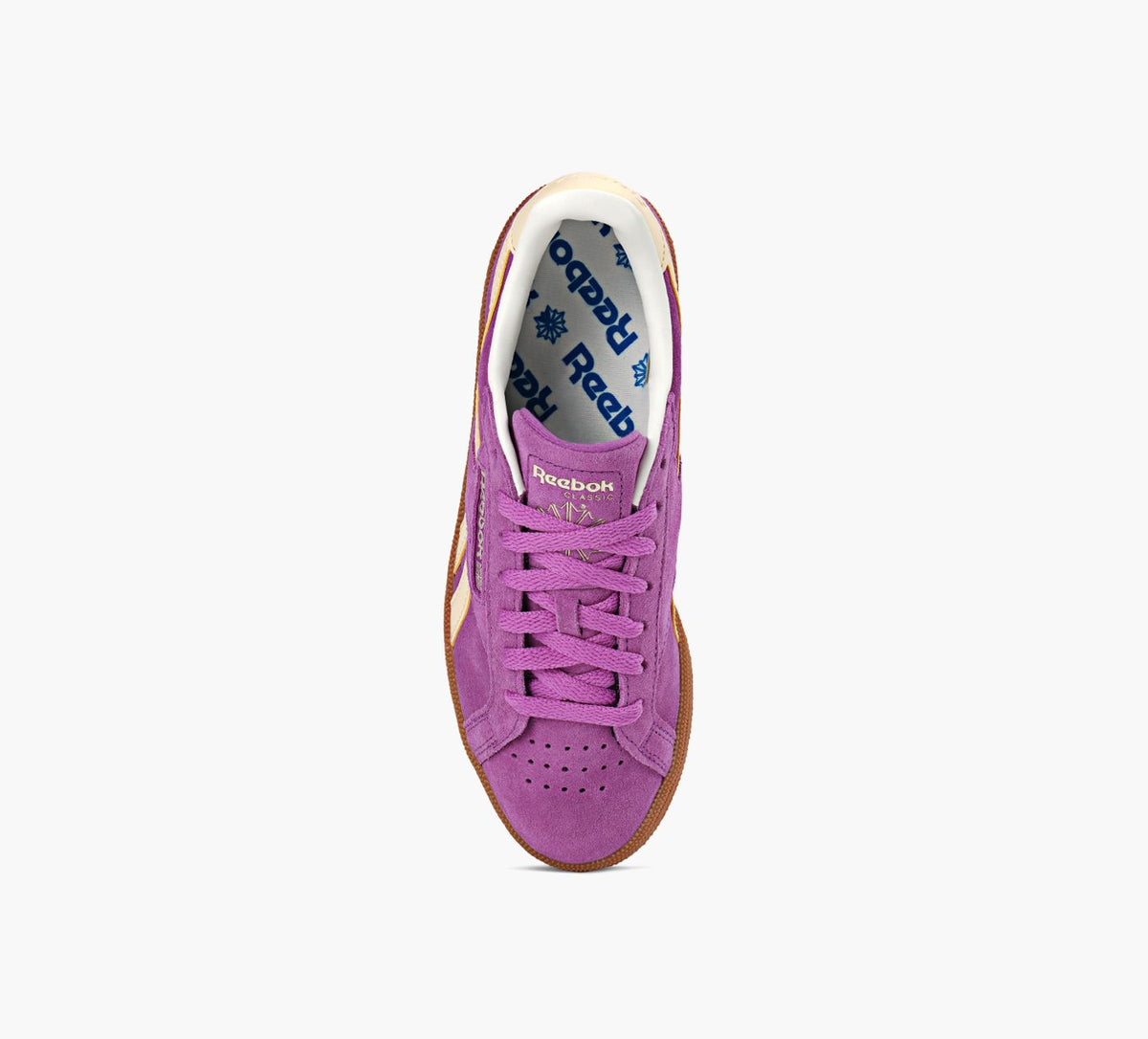 REEBOK CLUBCGROUNDSUK in PURPLE view 1c