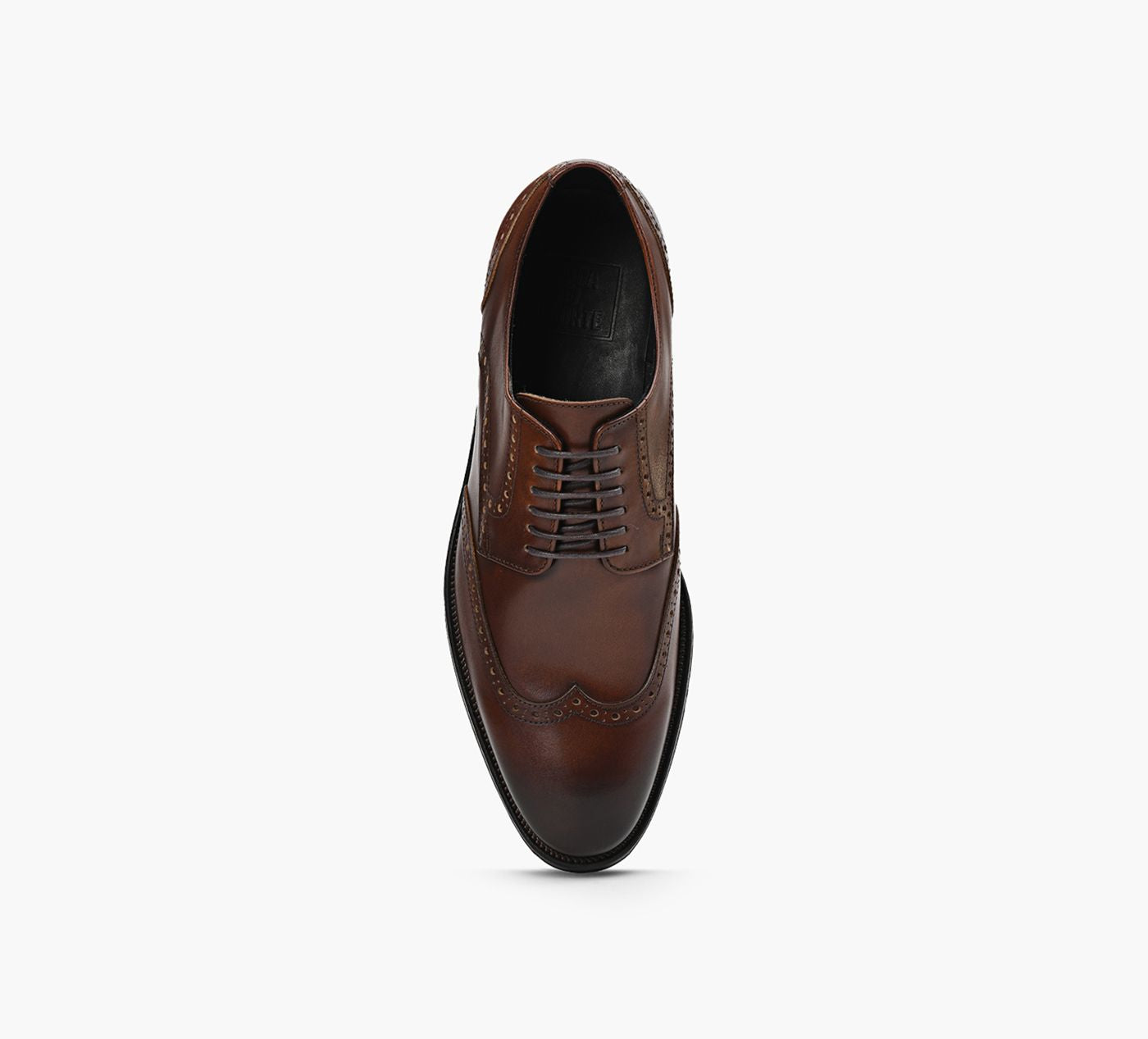 LUCA DEL FORTE NINO in BROWN view 1c