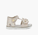 B-COOL GLITZ in ROSE GOLD