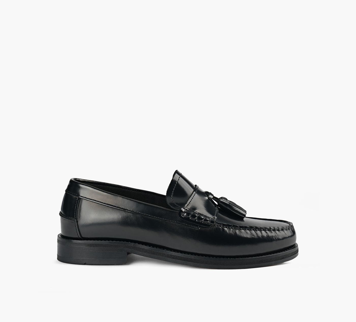 BROWNS OLEARIA in BLACK