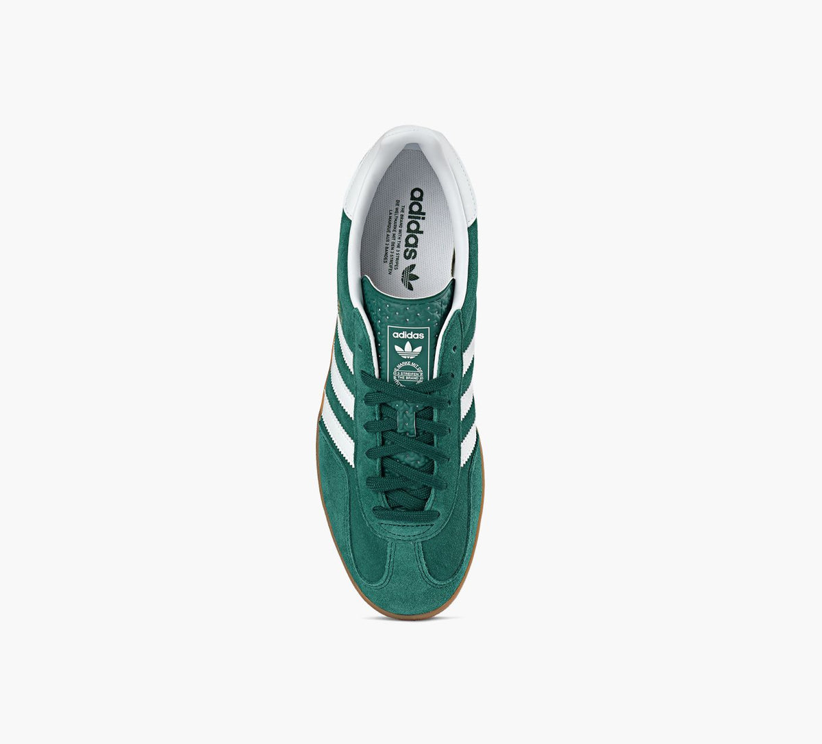 ADIDAS GAZELLEINDOOR in GREEN view 1c