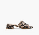 WISHBONE ISHA en BRUN