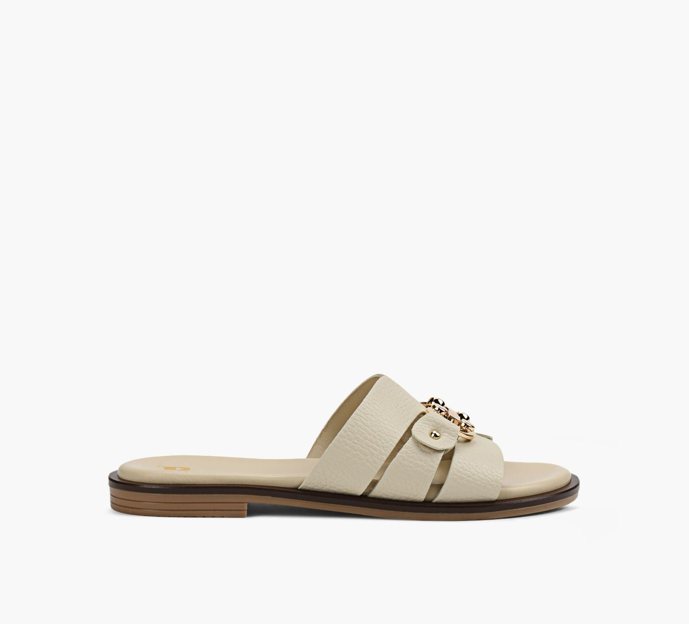 BROWNS JETTY in BEIGE