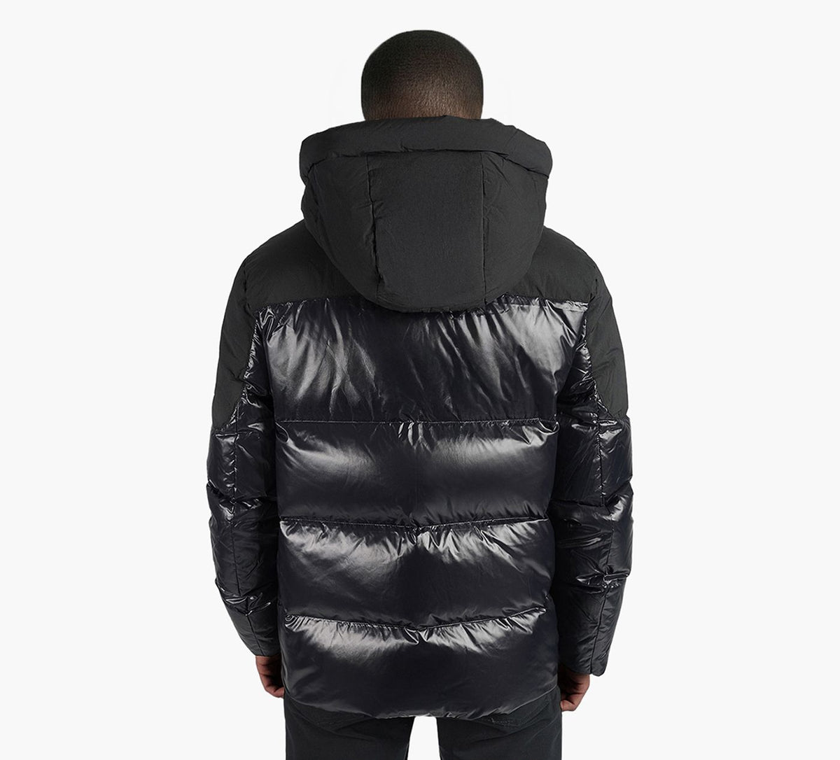MOOSE KNUCKLES BRIAR3QPUFFER in BLACK view 4