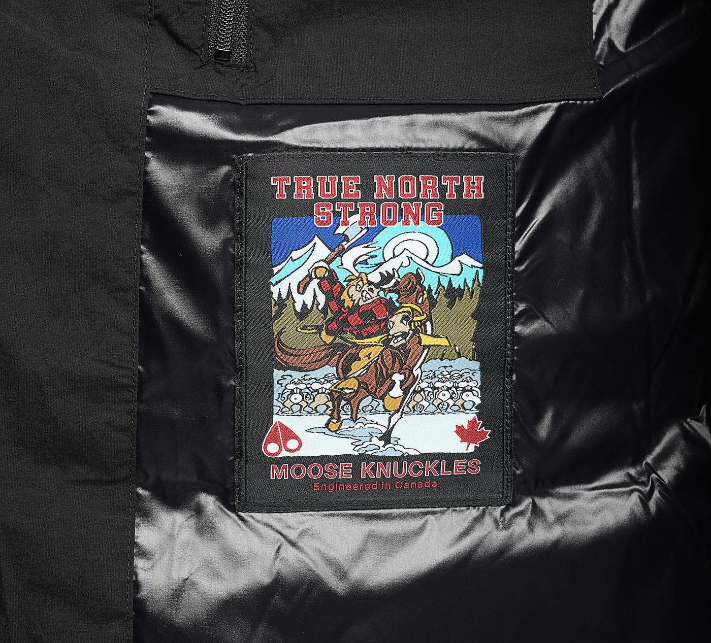 MOOSE KNUCKLES BRIAR3QPUFFER in BLACK view 8