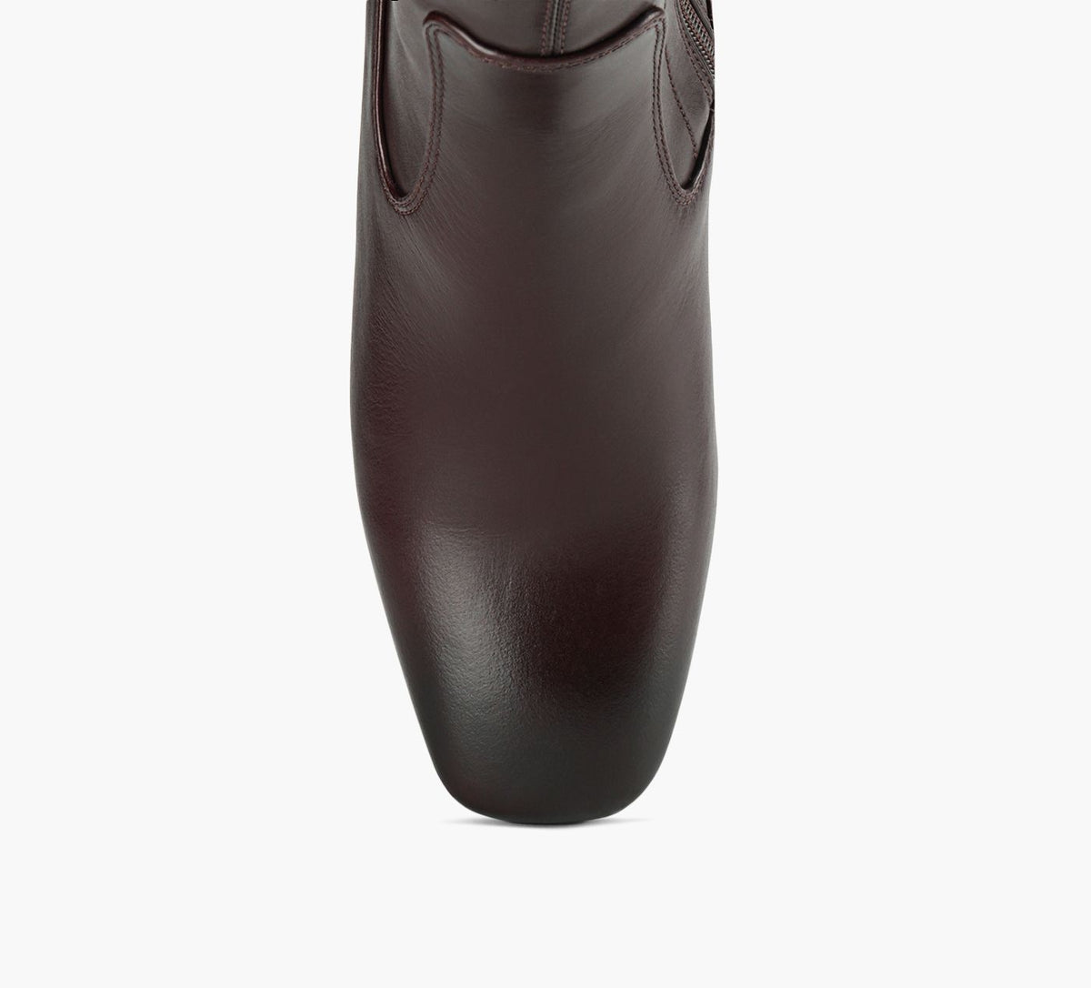 ARTICA CORTINA in BROWN view 1c