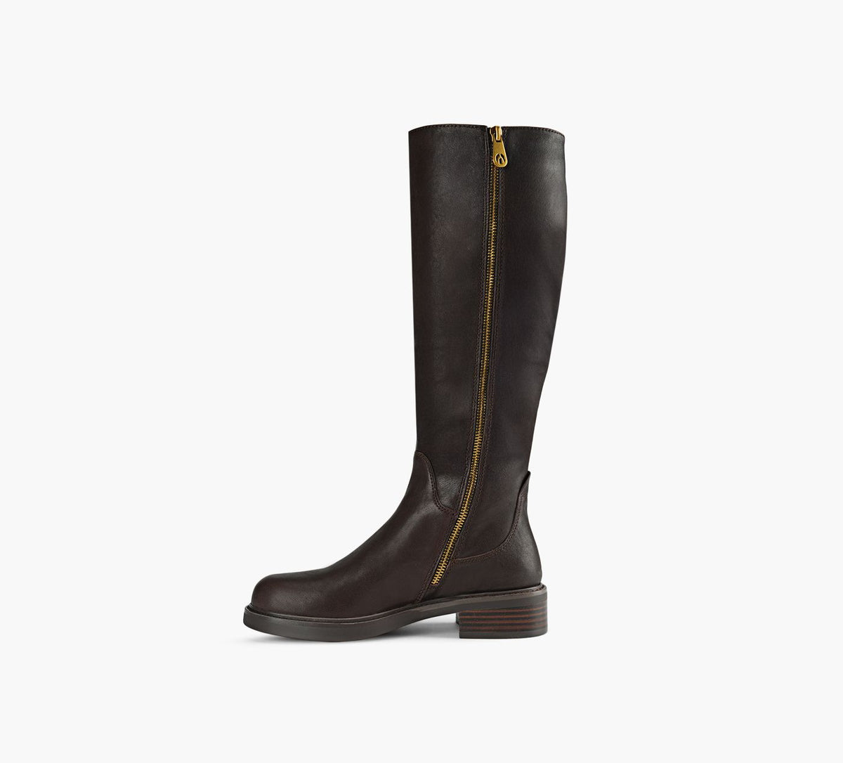 WISHBONE CHARLOTTERB en BRUN vue 7