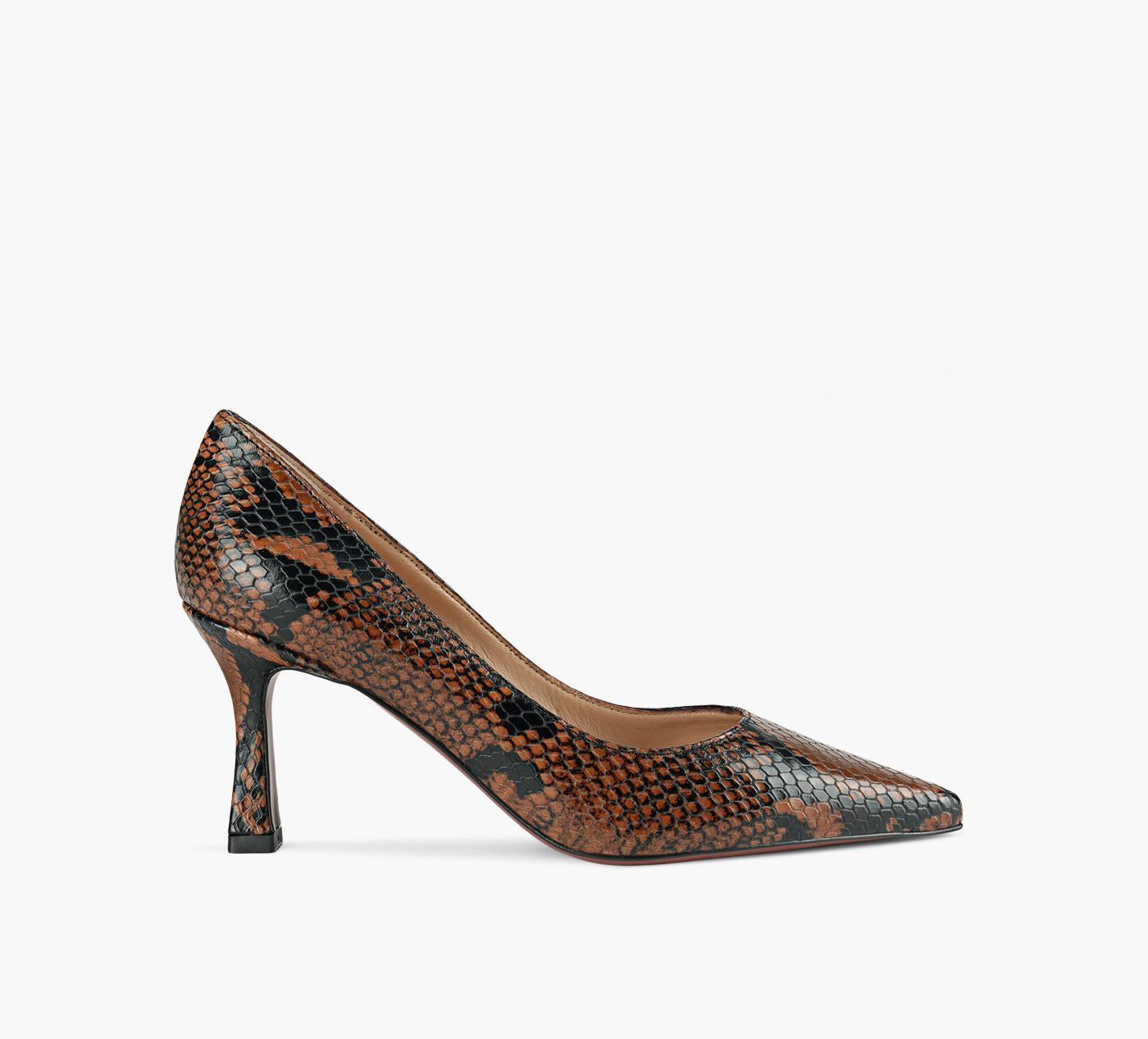 BROWNS COUTURE ASTER en BRUN