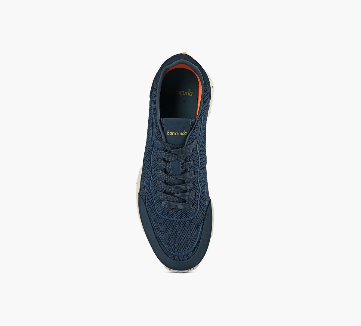 BARRACUDA BU3615 in BLUE view 1c