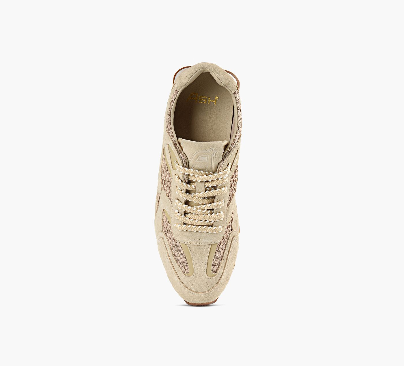 ASH KASARNETD en BEIGE vue 1c