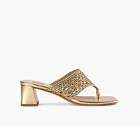 DOLCE VITA BARLO in GOLD