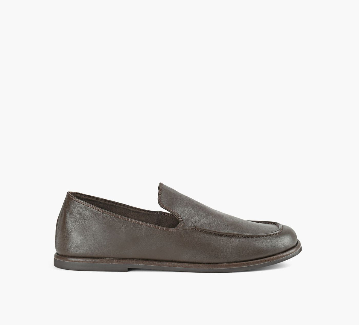 BROWNS DAINTREE en BRUN