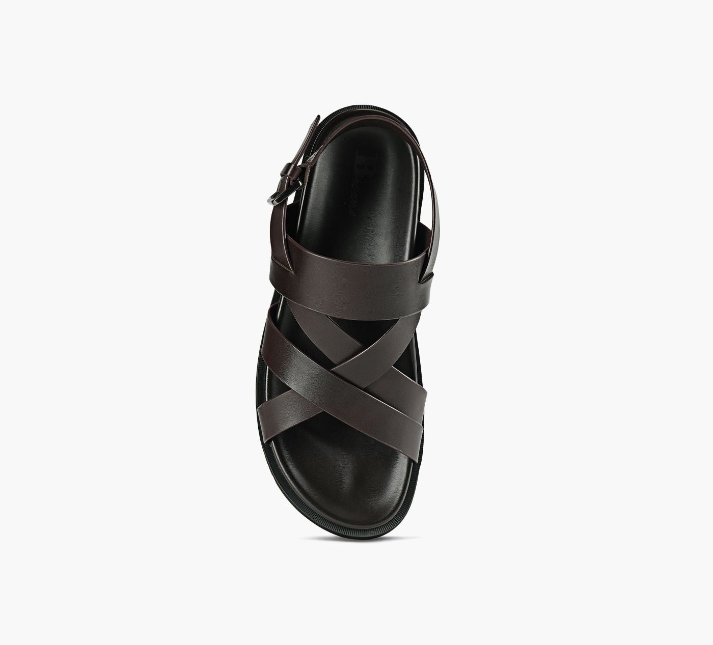 BROWNS USSURI en BRUN vue 1c