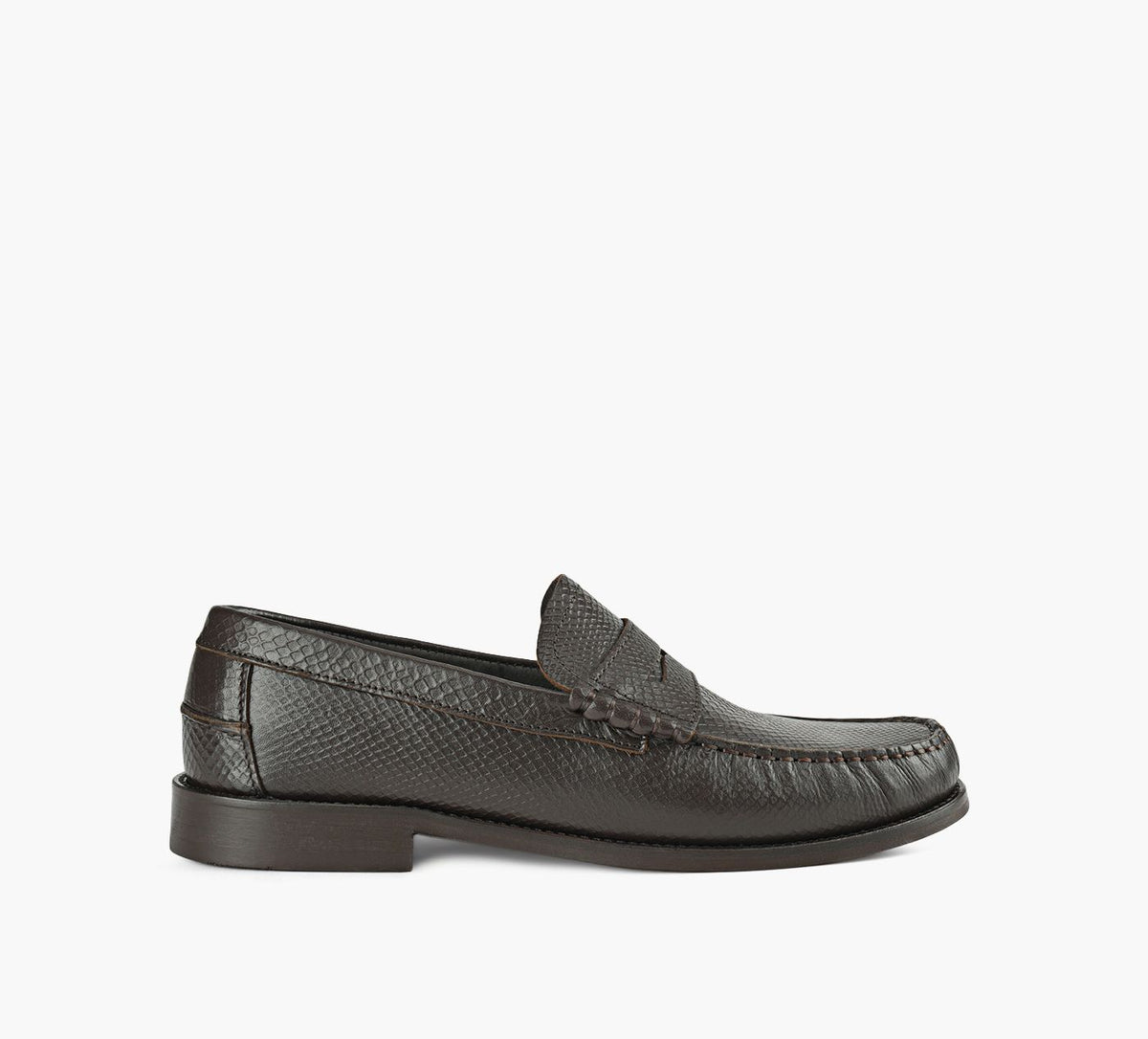 BROWNS SAM en BRUN