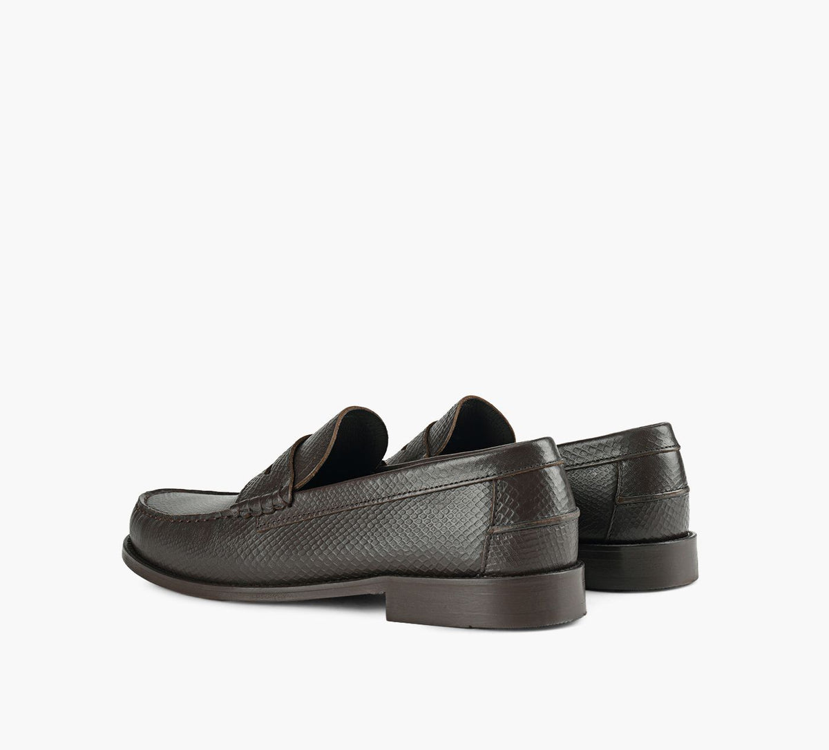 BROWNS SAM en BRUN vue 3