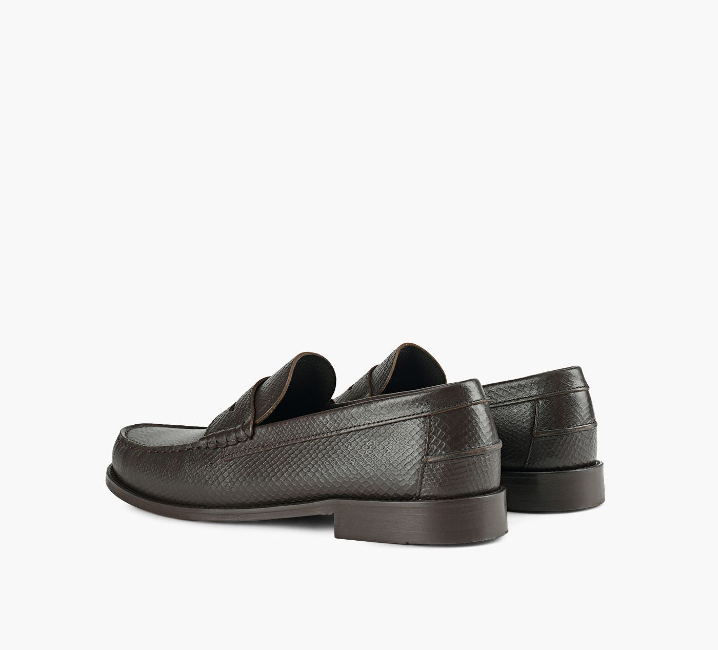BROWNS SAM en BRUN vue 3
