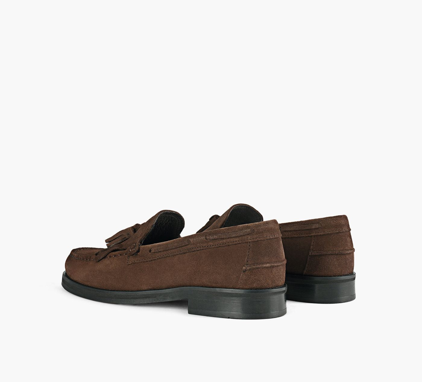 BROWNS TAPAGOS en BRUN vue 3