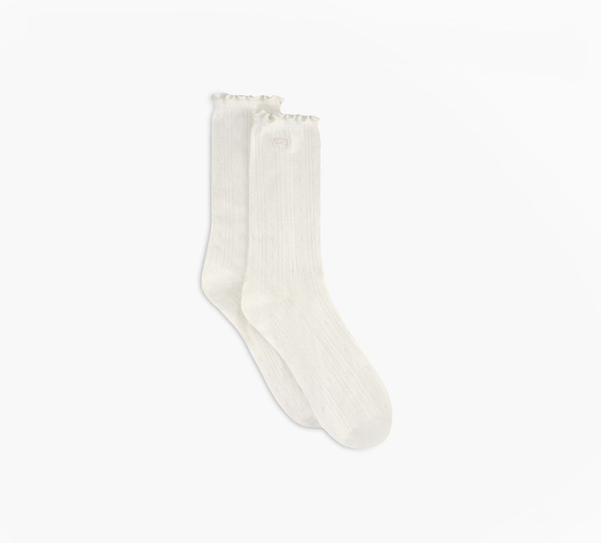 VANS POINTELLECREW in WHITE