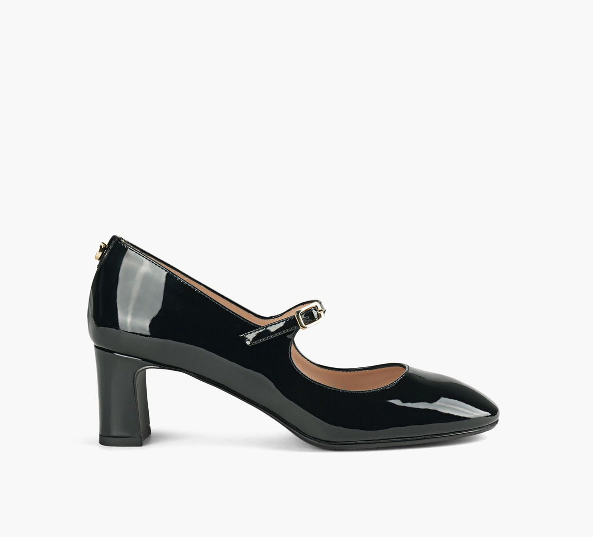 BROWNS COUTURE CAMOMILLE in BLACK