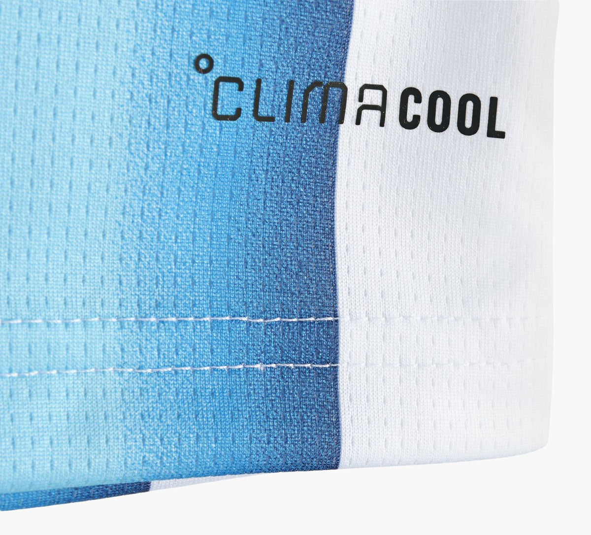 ADIDAS ARGENTINA26HOMEJERSEY in BLUE view 4