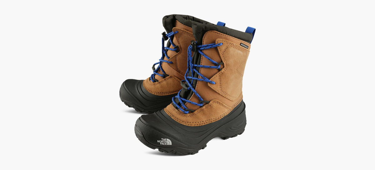 THE NORTH FACE ALPENGLOWVWATERPROOF in BROWN view 4