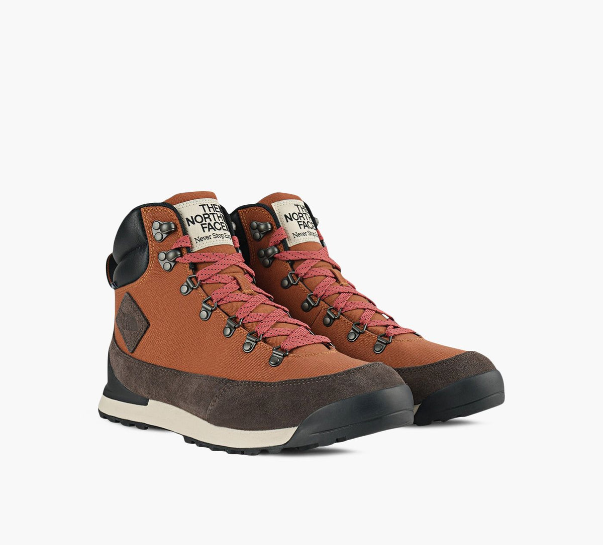 THE NORTH FACE BACKTOBERKELEYIVTEXTILE in BROWN view 2