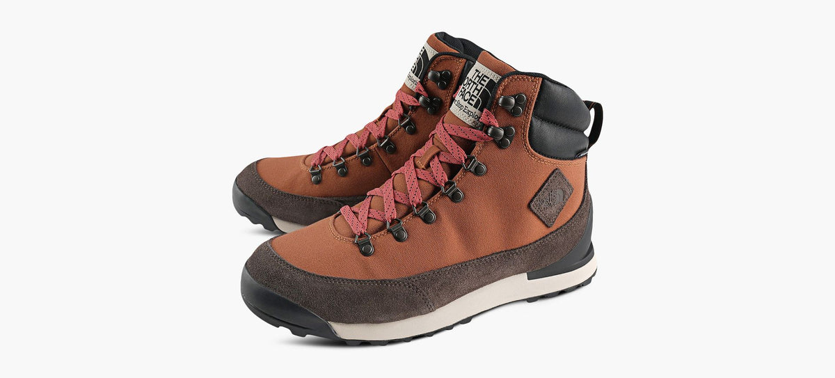 THE NORTH FACE BOTTEIMPERMABLEBACKTOBERKELEYIVTEXTILE en BRUN vue 4