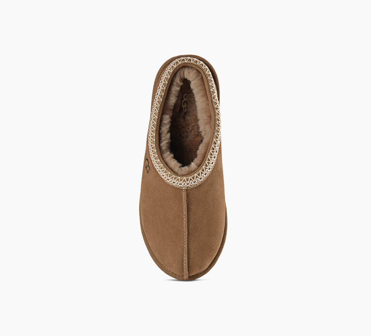 UGG TASMANII en BRONZE vue 1c