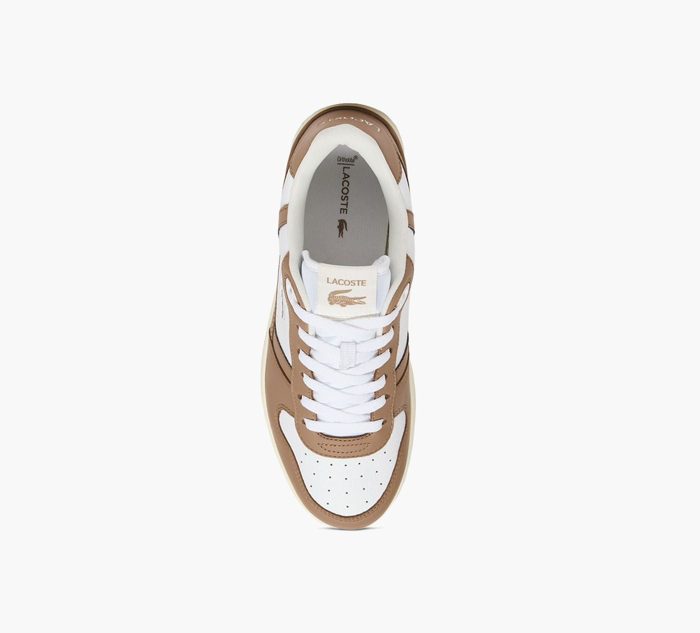 LACOSTE TCLIPSET in TAN view 1c