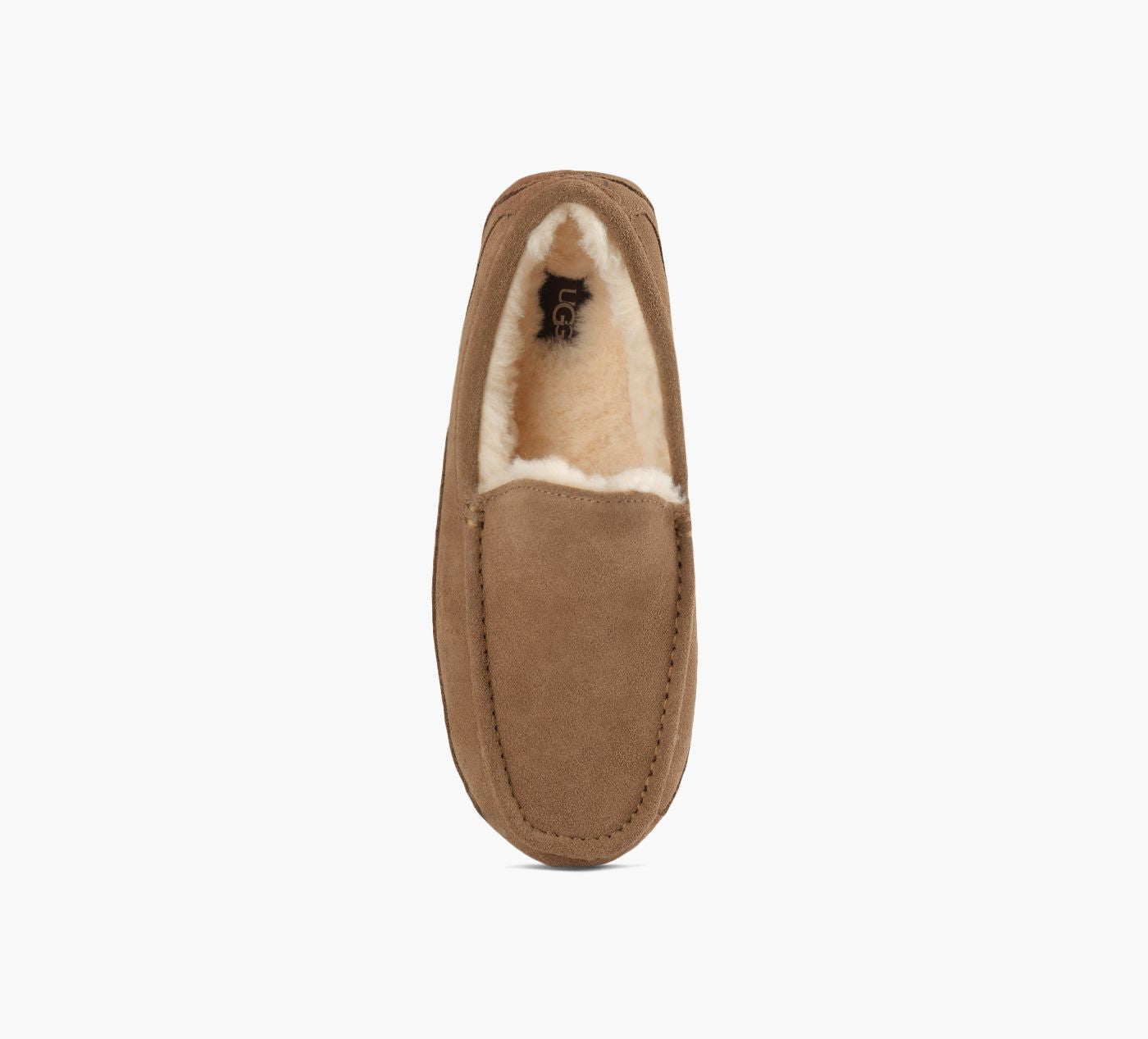 UGG ASCOT en BEIGE vue 5