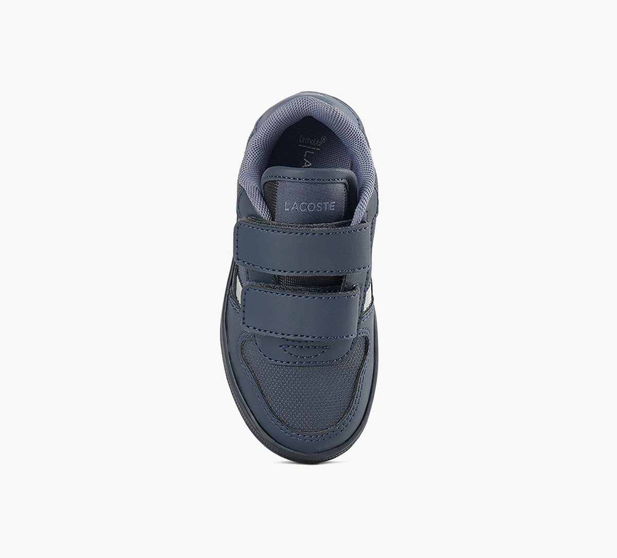 LACOSTE TCLIPSETREFLECTIVESTORY in BLUE view 5