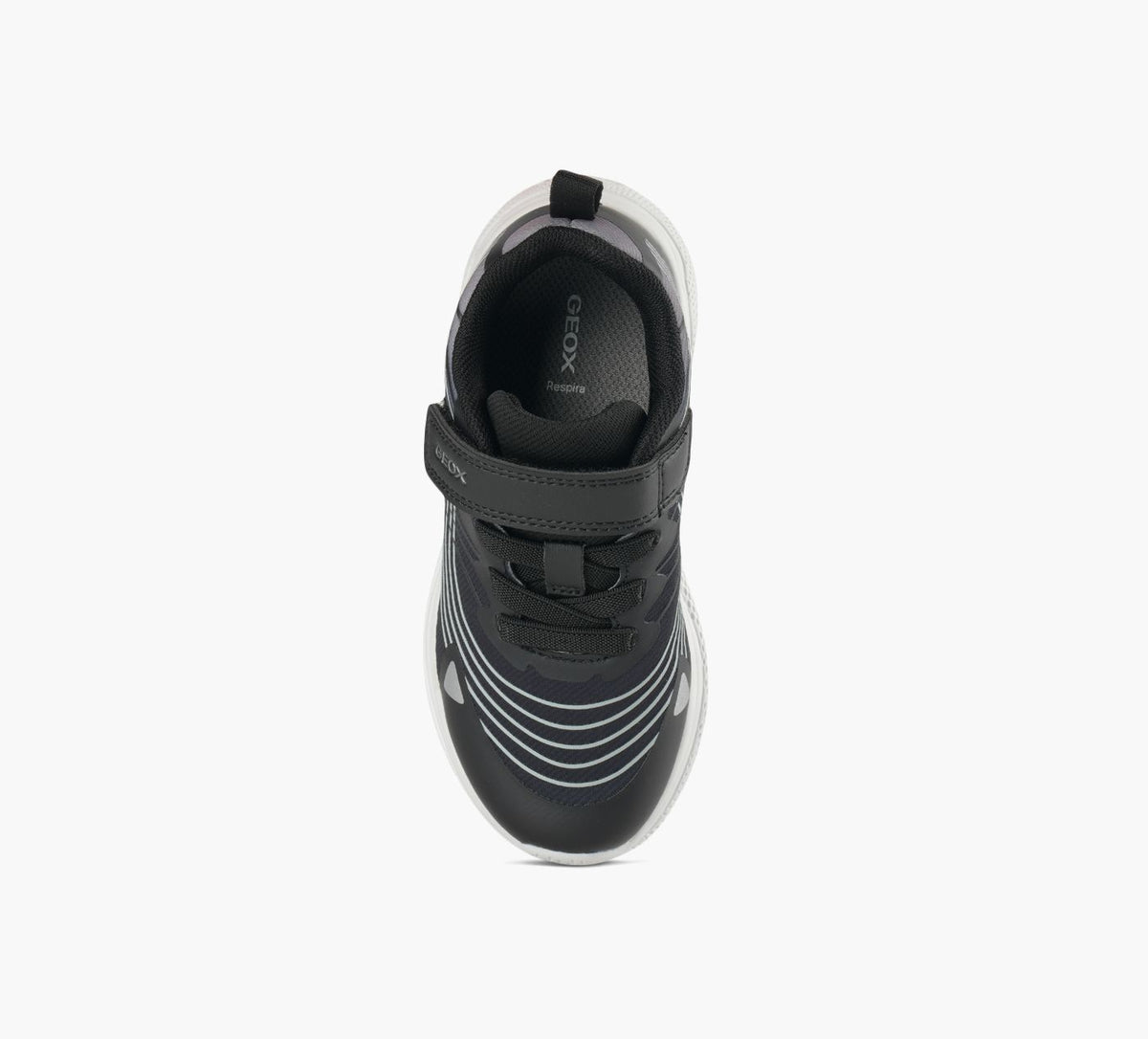 GEOX JSPRINTYEGARON en NOIR vue 5