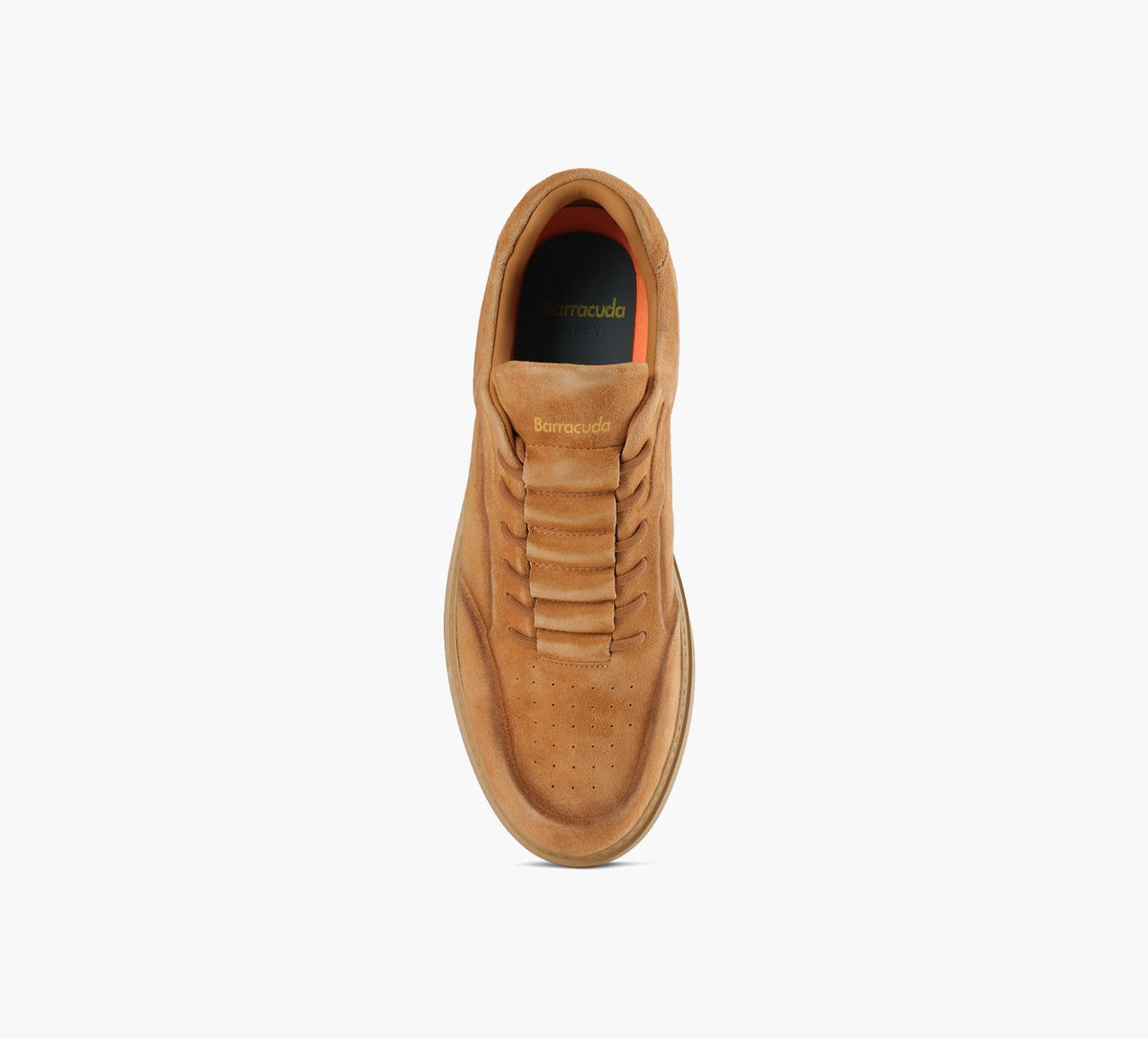 BARRACUDA BU3650 in TAN view 1c