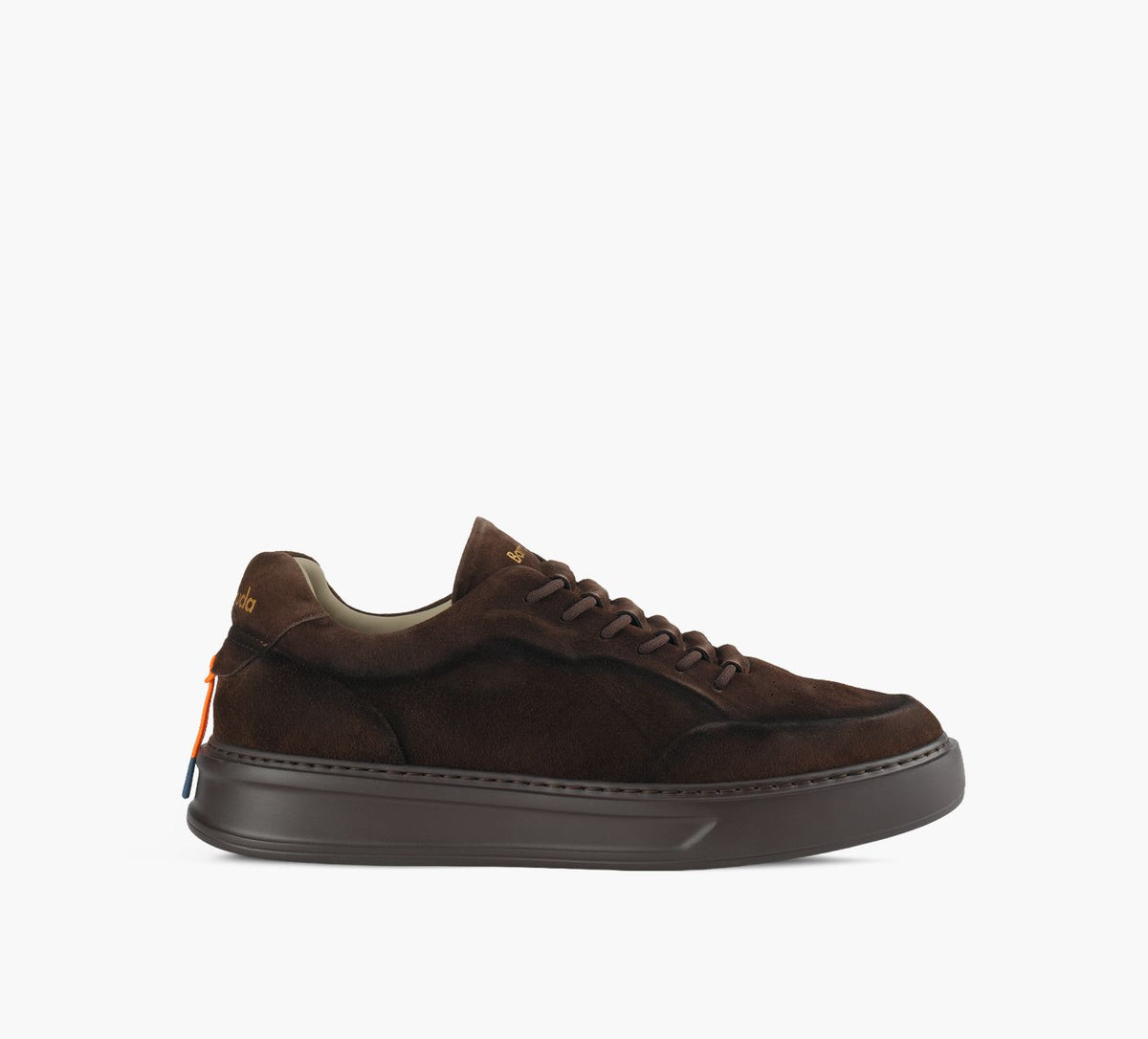 BARRACUDA BU3650 in BROWN