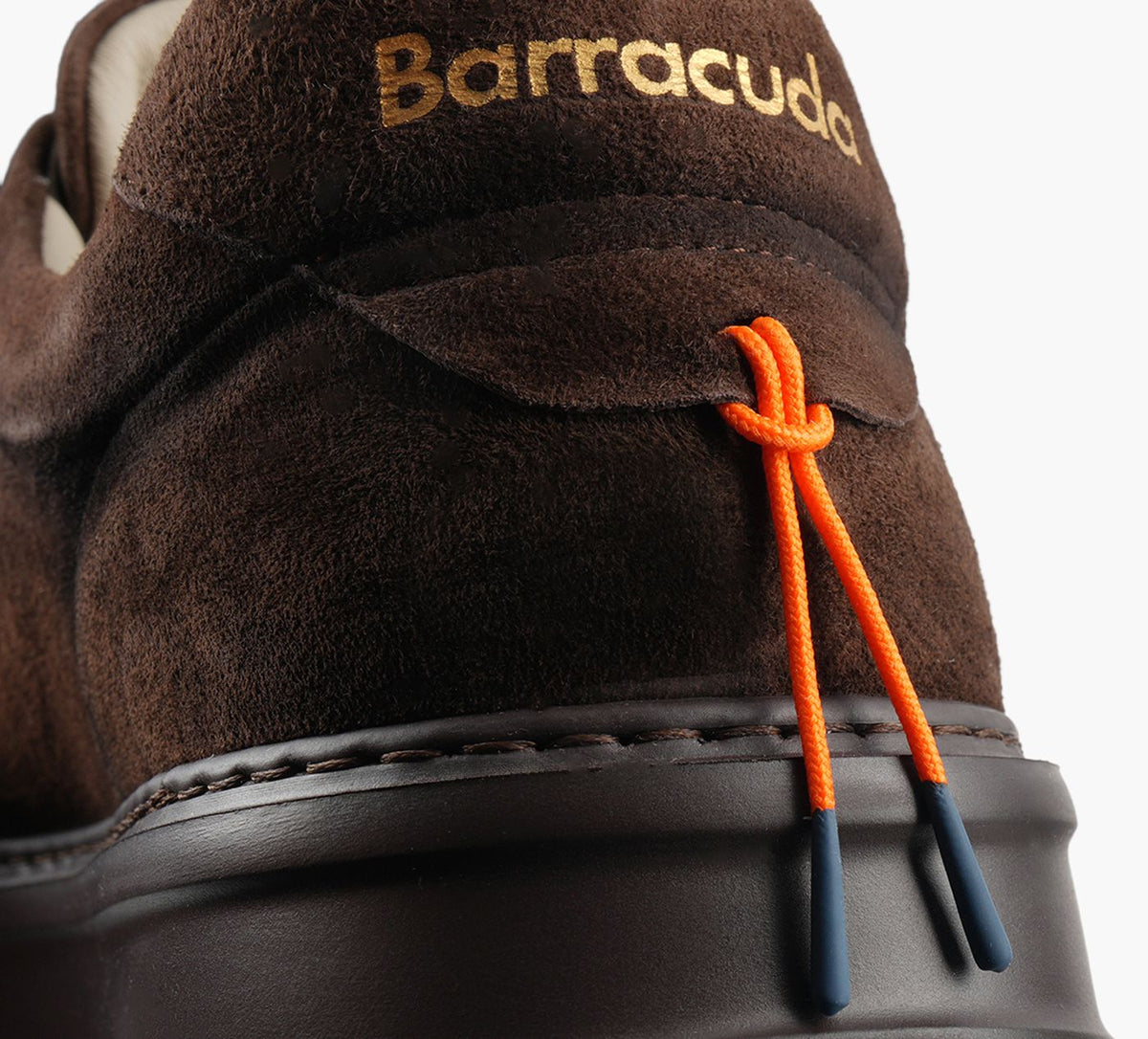 BARRACUDA BU3650 en BRUN vue 1b