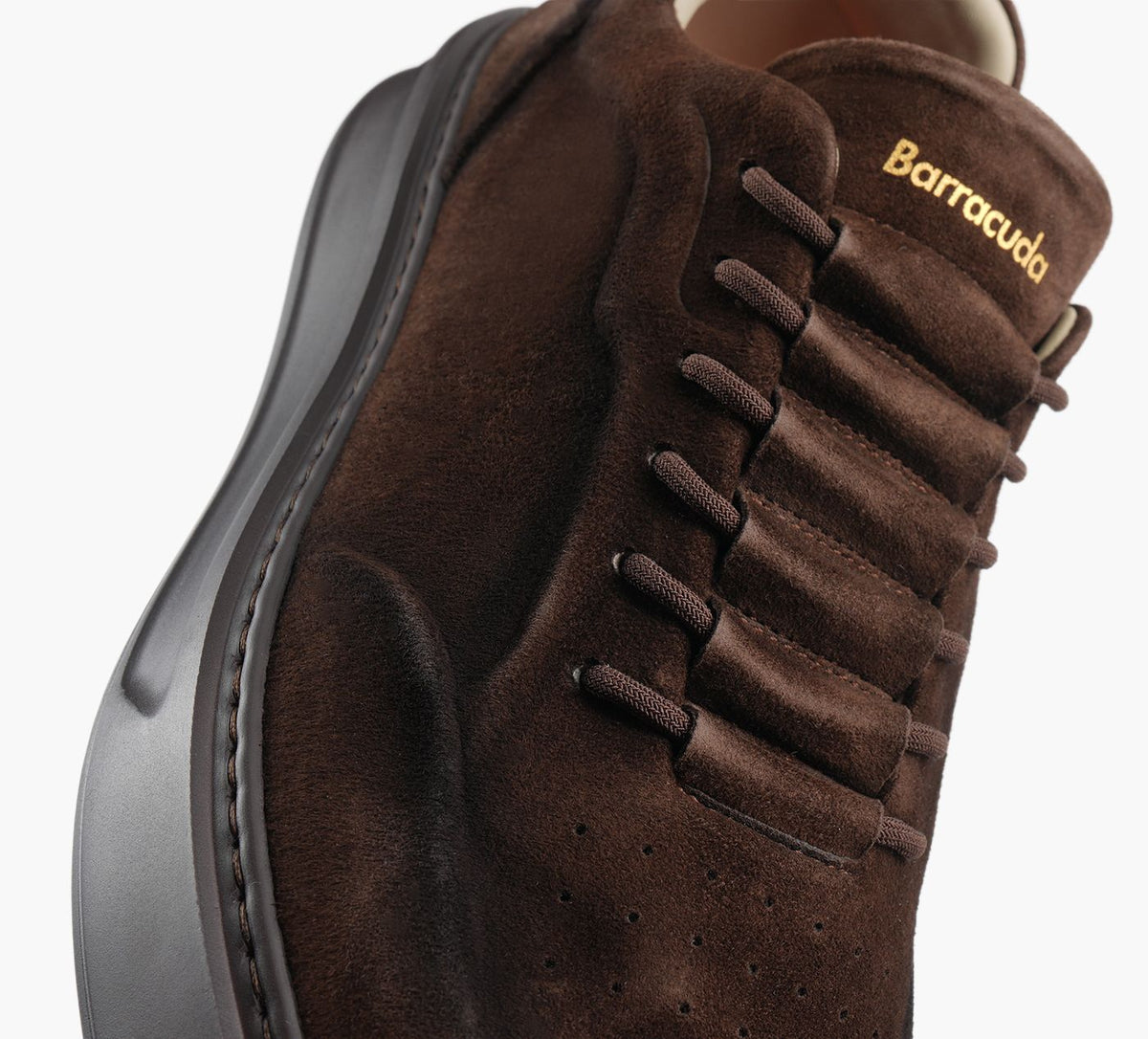 BARRACUDA BU3650 en BRUN vue 7