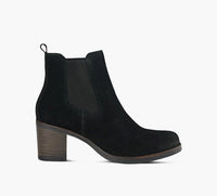 PAJAR DALLAS en NOIR