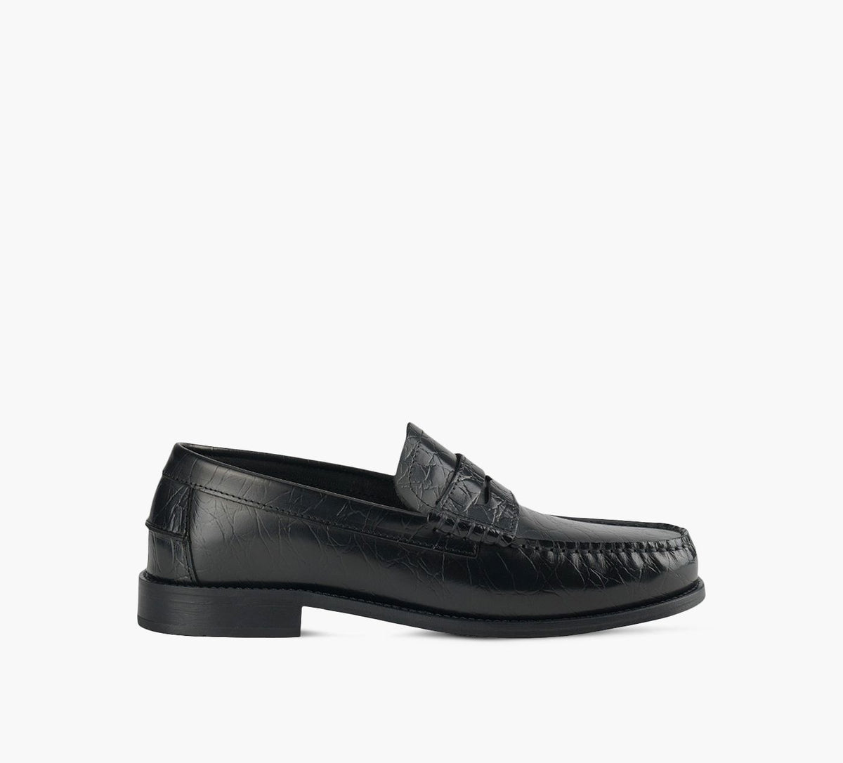 BROWNS SIMIEN en NOIR