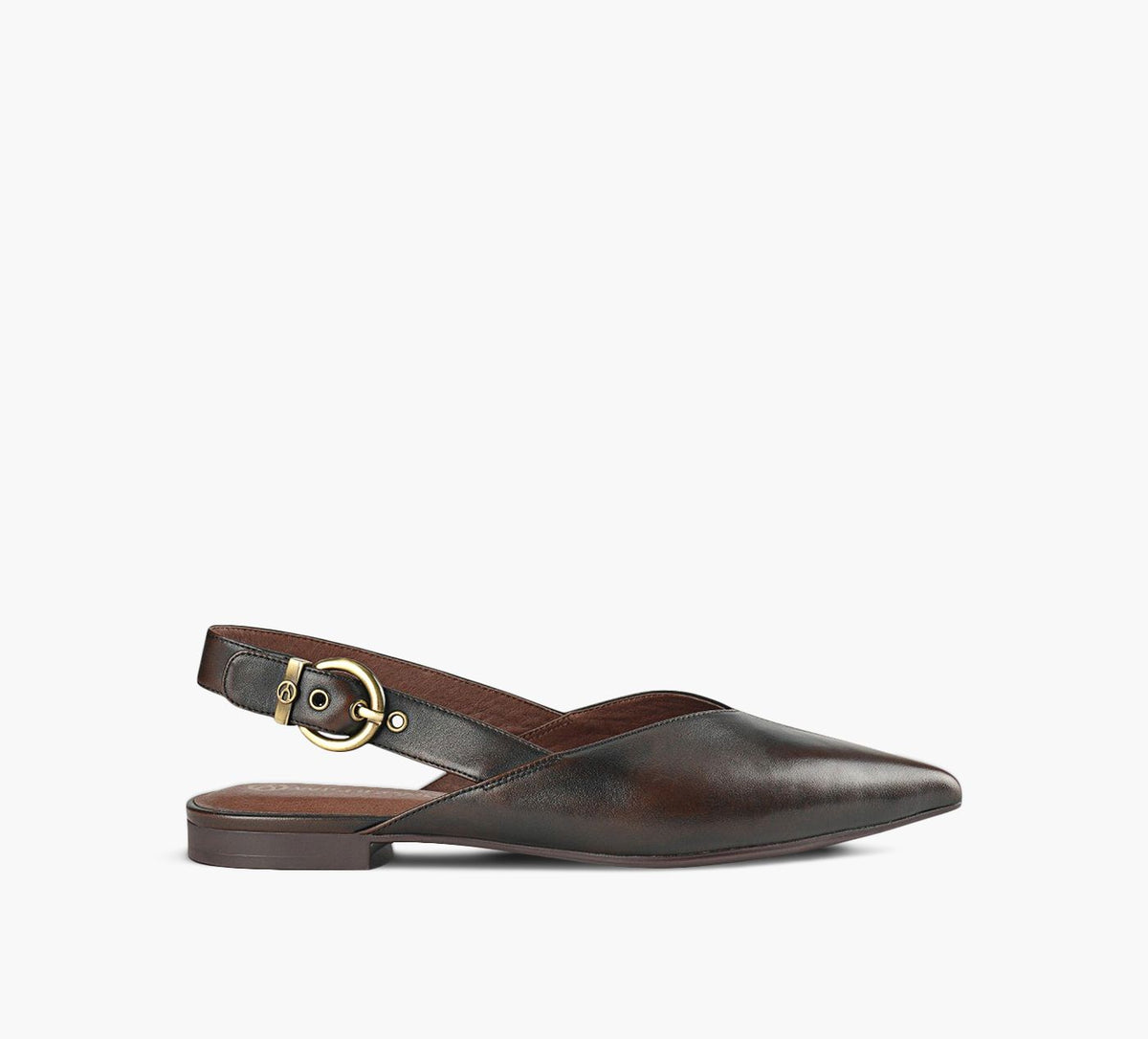 WISHBONE VIOLET in BROWN