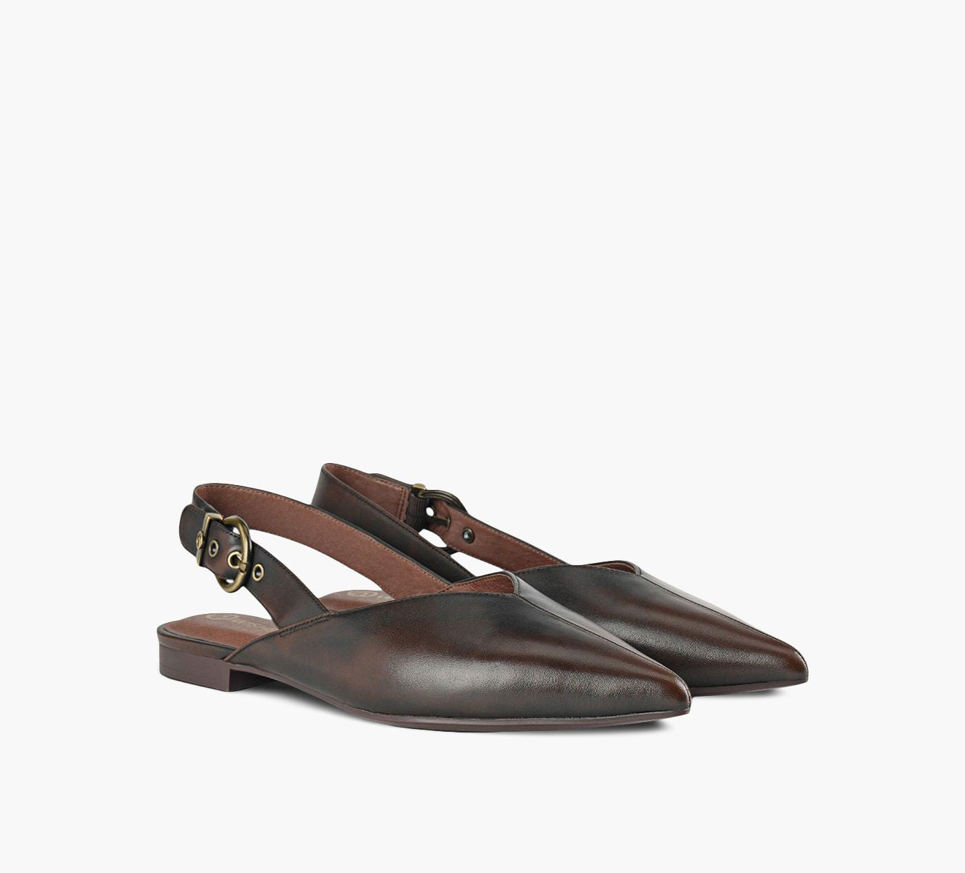 WISHBONE VIOLET in BROWN view 2